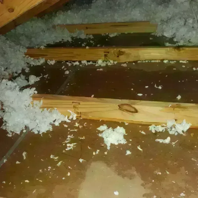 Attic Water Damage in Knoxville, IL